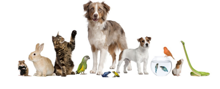 Στιγμιότυπο οθόνης 2025-11-09 235517